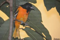 Smithsonian National Zoological Park