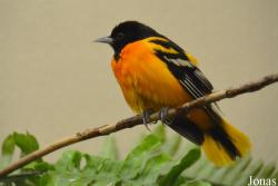 Smithsonian National Zoological Park