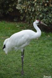Smithsonian National Zoological Park