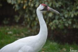 Smithsonian National Zoological Park