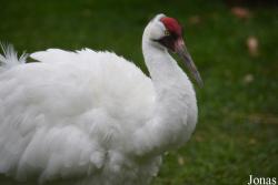 Smithsonian National Zoological Park