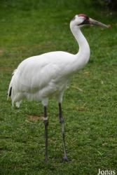 Smithsonian National Zoological Park