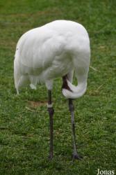 Smithsonian National Zoological Park