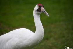 Smithsonian National Zoological Park