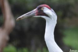 Smithsonian National Zoological Park