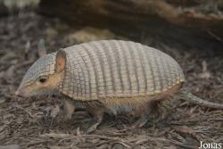 Smithsonian National Zoological Park