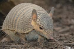 Smithsonian National Zoological Park