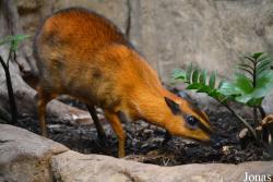 Smithsonian National Zoological Park