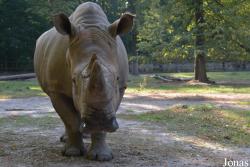 Ogród Zoologiczny w Poznaniu Nowe Zoo