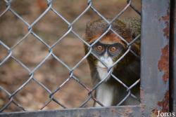 Miejski Ogród Zoologiczny w Łódzi