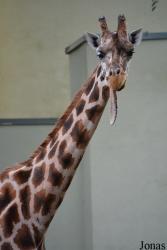 Miejski Ogród Zoologiczny w Łódzi