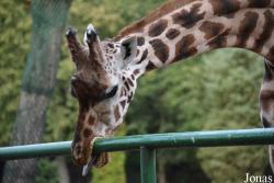 Miejski Ogród Zoologiczny w Łódzi