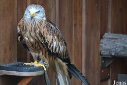 Neunkircher Zoologischer Garten