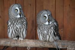Neunkircher Zoologischer Garten