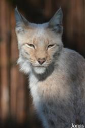 Ogród Zoologiczny im. Stefana Milera w Zamościu