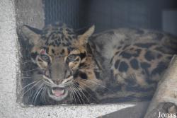 Ogród Zoologiczny im. Stefana Milera w Zamościu