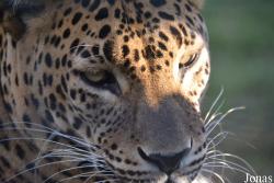 Ogród Zoologiczny im. Stefana Milera w Zamościu