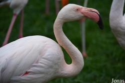 Ogród Zoologiczny w Krakowie