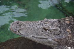 Zoo Wrocław