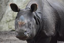Zoo Wrocław