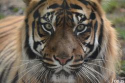 Zoo Wrocław