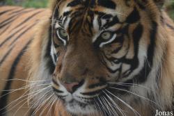 Zoo Wrocław