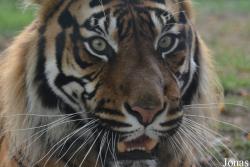Zoo Wrocław