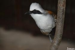 Zoo Wrocław