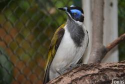 Zoo Wrocław