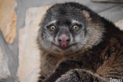 Zoo Wrocław