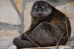 Zoo Wrocław