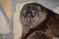 Zoo Wrocław