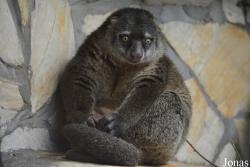 Zoo Wrocław
