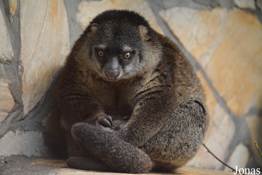 Zoo Wrocław