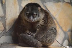 Zoo Wrocław