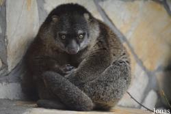 Zoo Wrocław