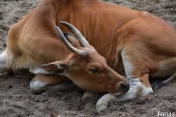 Zoo Wrocław