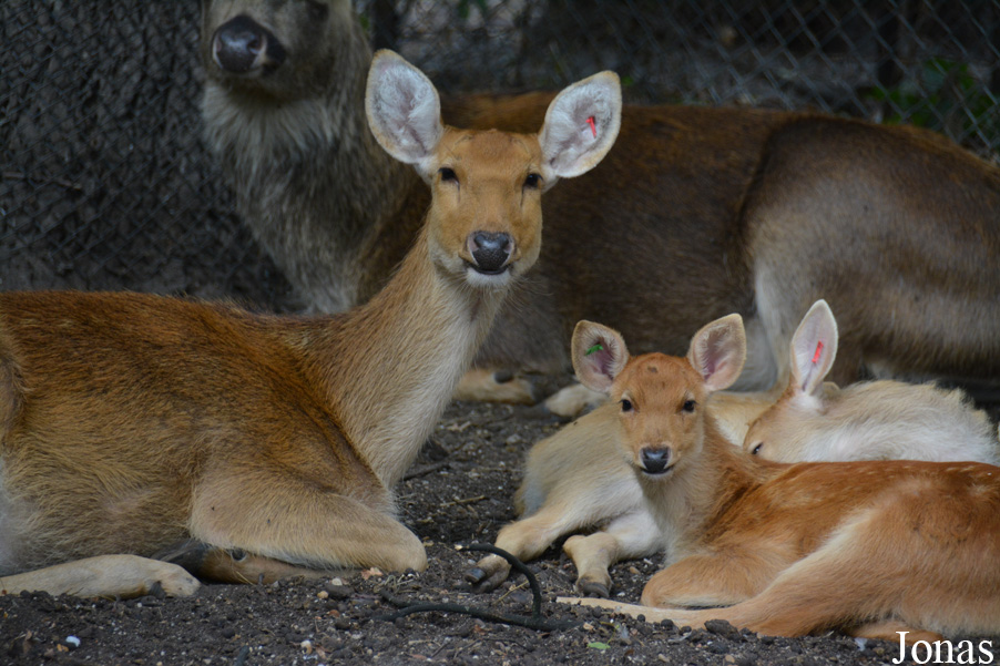 Zoo Wrocław