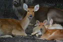 Zoo Wrocław