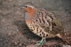 Zoo Wrocław