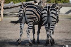 Zoo Wrocław