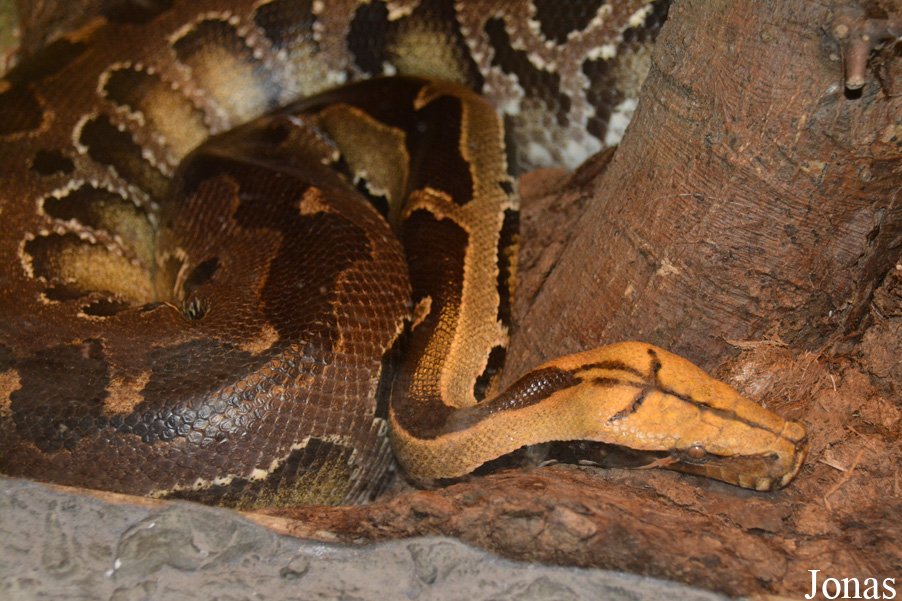 Zoo Wrocław