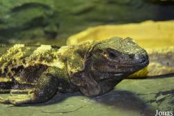 Zoo Wrocław