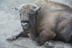 Zoo Wrocław