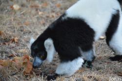 Zoo Wrocław