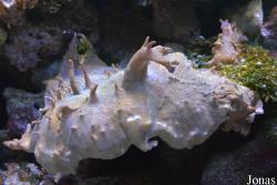 Erlebnispark Meeresaquarium Zella-Mehlis