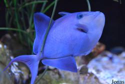 Erlebnispark Meeresaquarium Zella-Mehlis