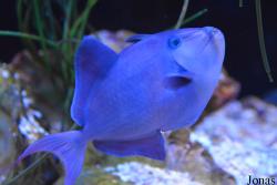 Erlebnispark Meeresaquarium Zella-Mehlis