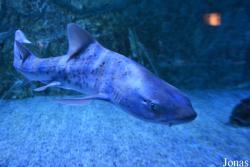 Erlebnispark Meeresaquarium Zella-Mehlis