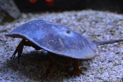 Erlebnispark Meeresaquarium Zella-Mehlis